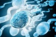 2026年北京公立医院试管婴儿费用一览公布