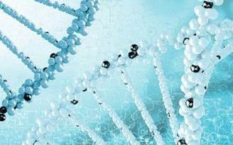 2026年国内无结婚证在云南附属医院做试管的费用贵吗？十二万够吗？