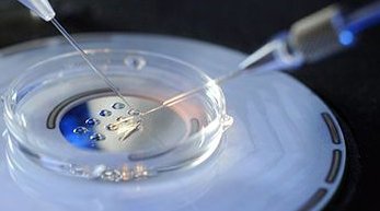 广西高龄做三代试管成功率和价格一览