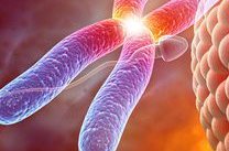 深圳三代试管婴儿生个孩子要花多少钱？