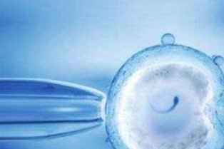 河南助孕_河南助孕公司_河南试管三代机构助孕服务